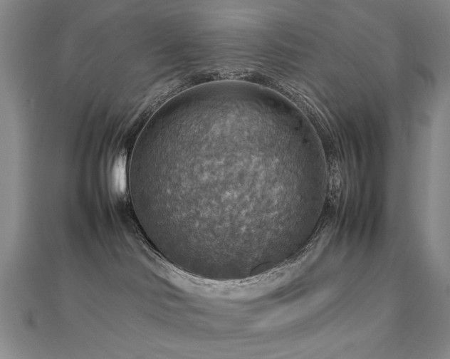 X0000112770046200908201517