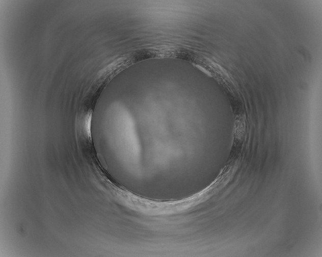 X0000112770047200908201517