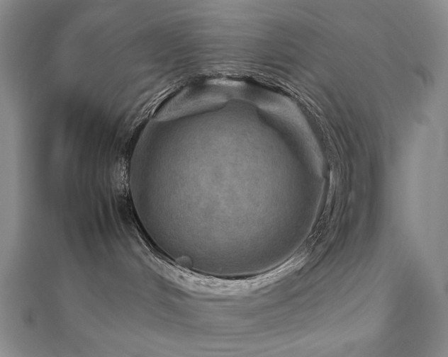 X0000112770048200908201517