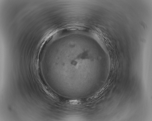 X0000112770050200908201516