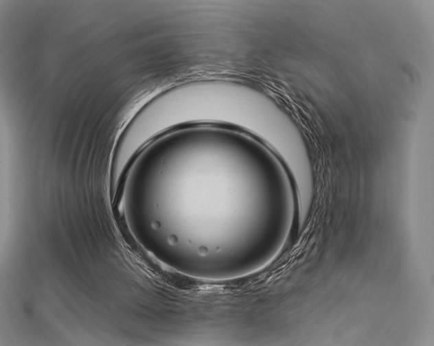 X0000112770052200908201516