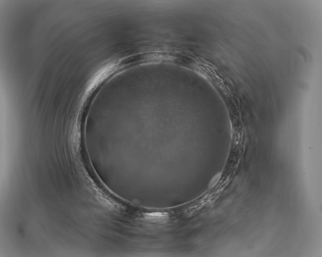 X0000112770053200908201516