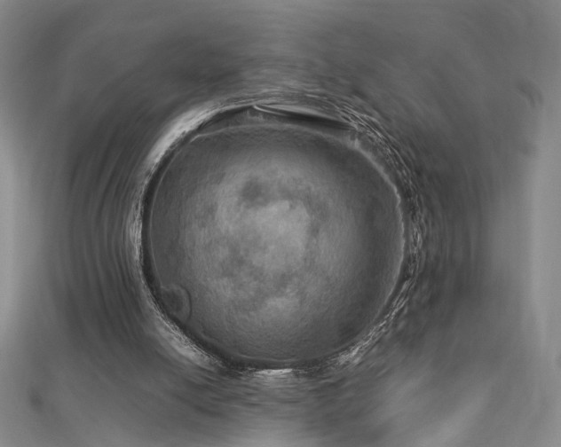 X0000112770054200908201516