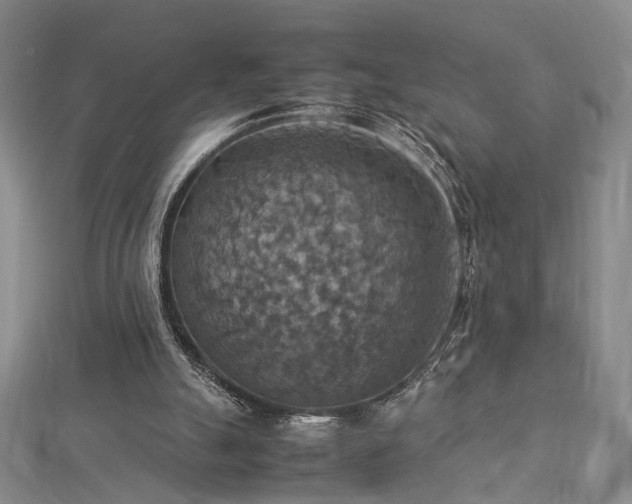 X0000112770055200908201516