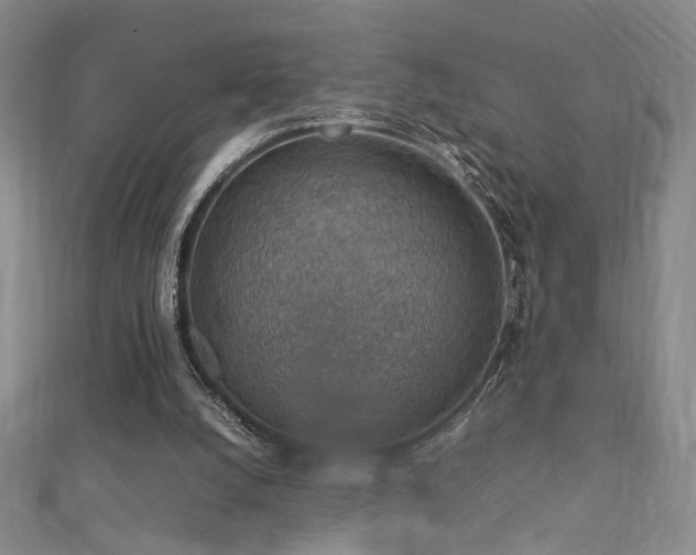 X0000112770056200908201516