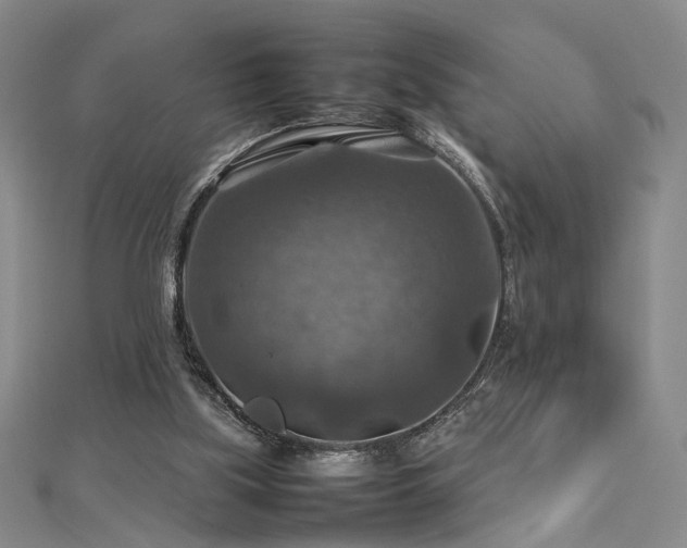 X0000112770059200908201516