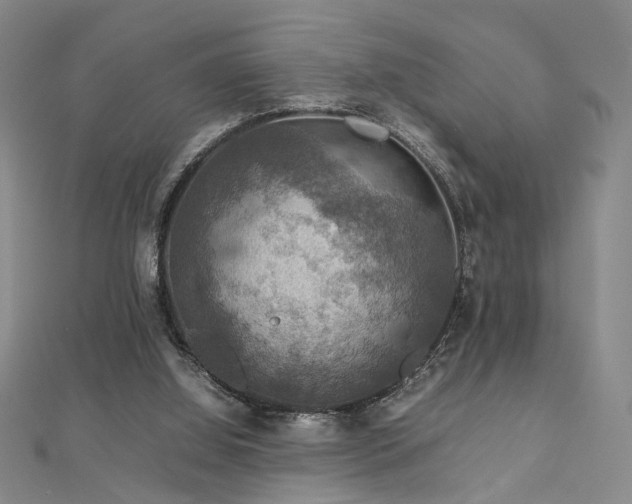 X0000112770060200908201516