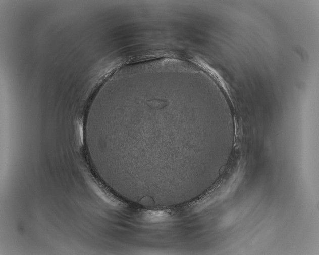 X0000112770061200908201516