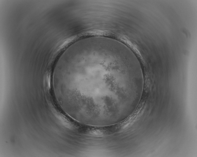 X0000112770062200908201516