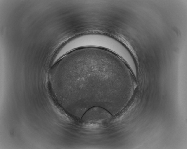 X0000112770063200908201516