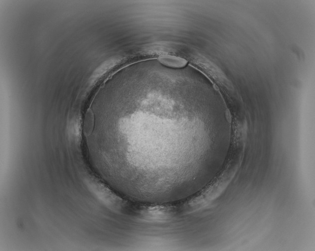 X0000112770064200908201516