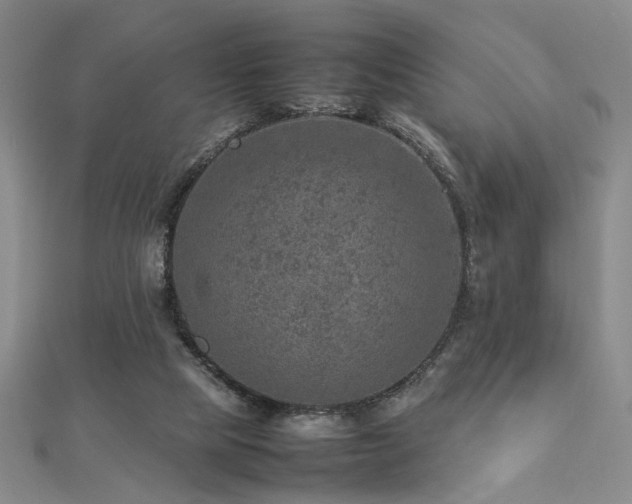 X0000112770065200908201516