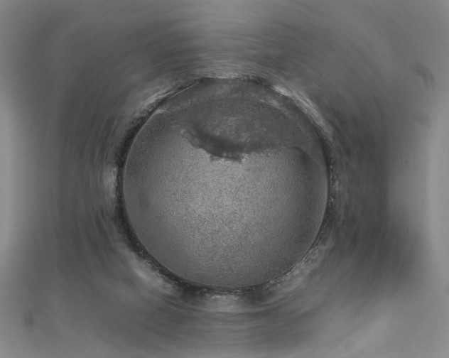 X0000112770066200908201516