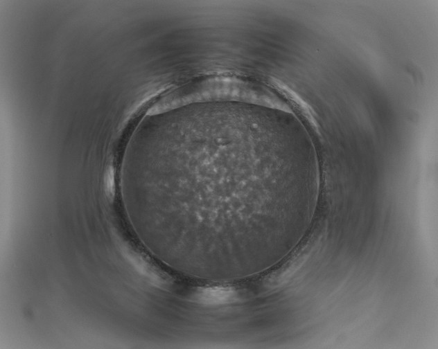 X0000112770067200908201517
