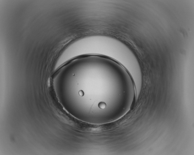 X0000112770068200908201517