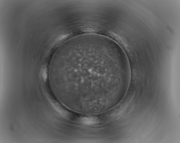X0000112770069200908201517