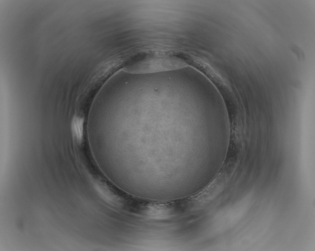 X0000112770070200908201517