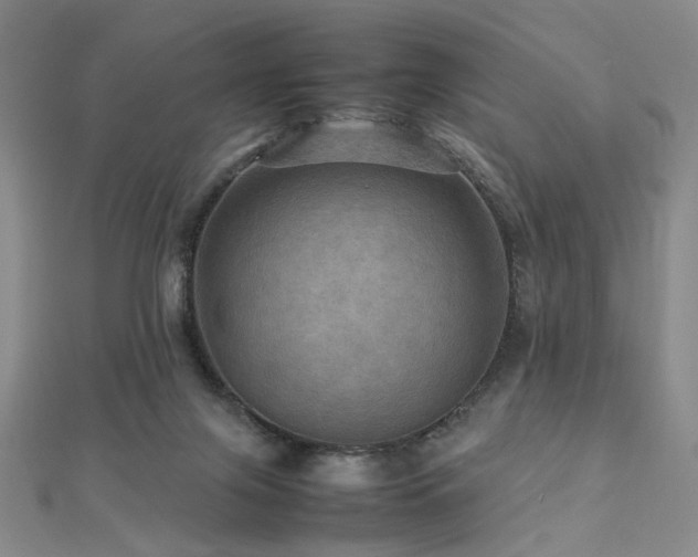 X0000112770071200908201517