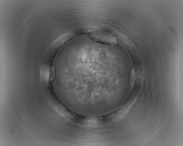 X0000112770076200908201517