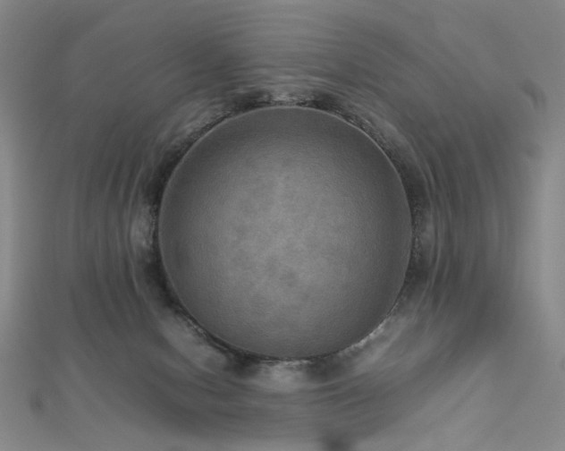 X0000112770078200908201517