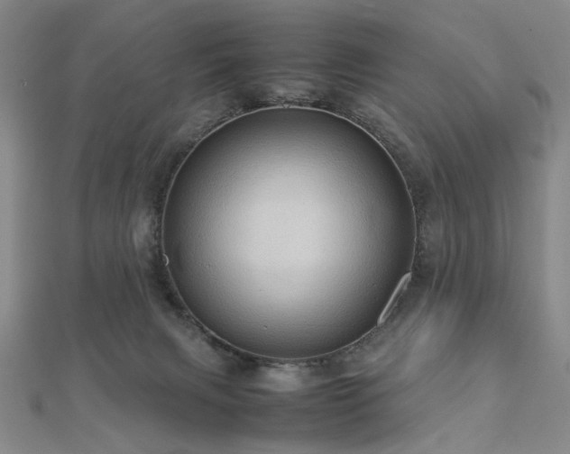 X0000112770079200908201517
