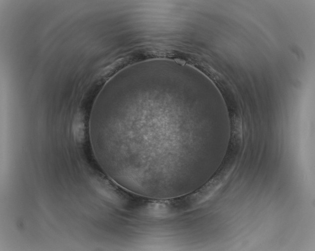 X0000112770080200908201517
