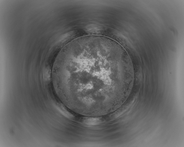 X0000112770081200908201517