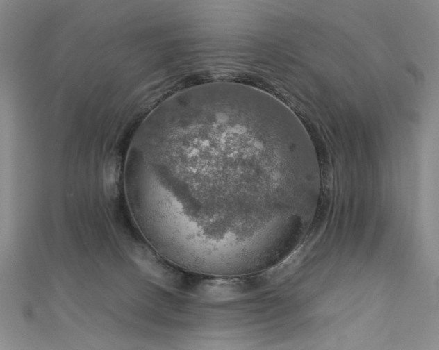 X0000112770082200908201517