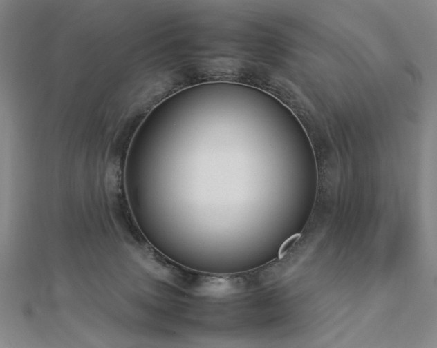 X0000112770083200908201517