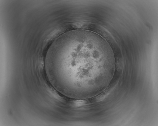 X0000112770085200908201517