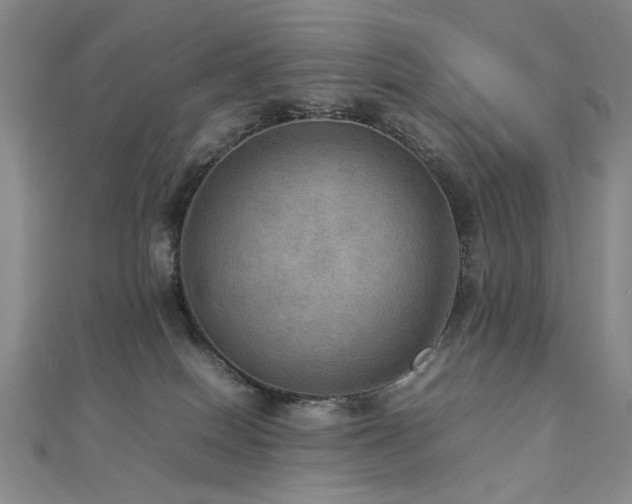 X0000112770086200908201517