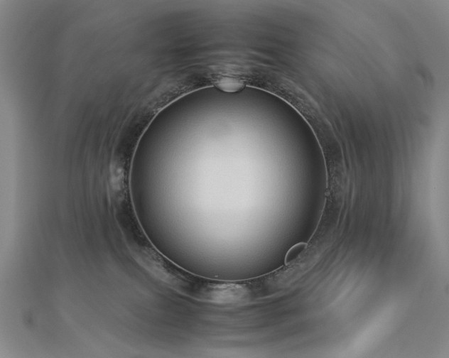 X0000112770087200908201517