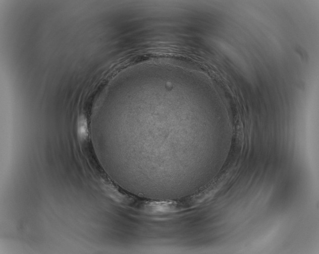 X0000112770089200908201517