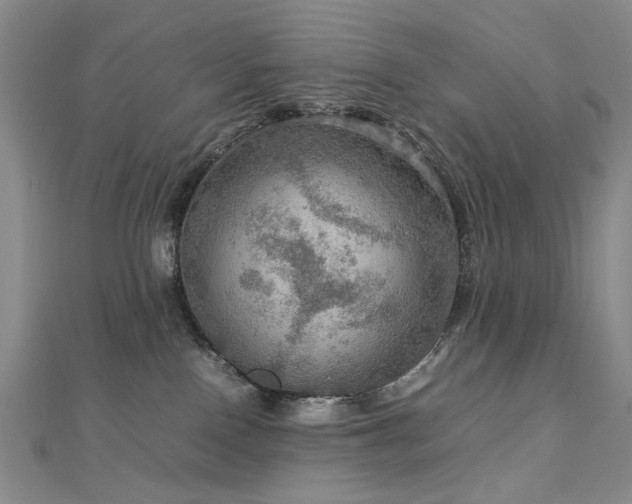 X0000112770090200908201517