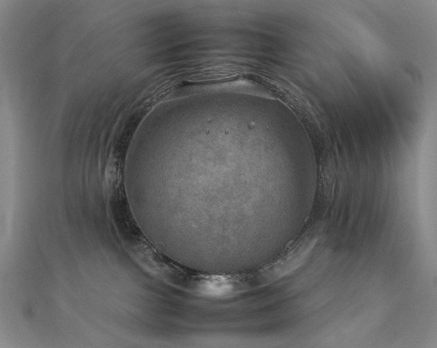 X0000112770091200908201517