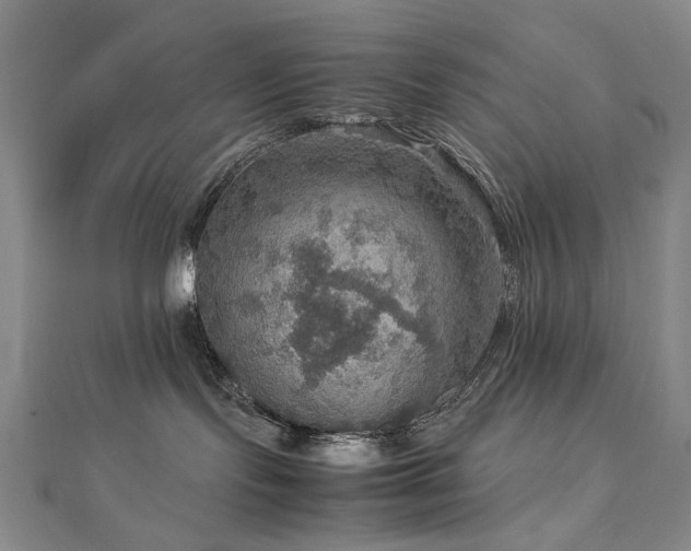 X0000112770095200908201517
