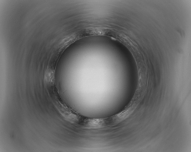 X0000112770096200908201517