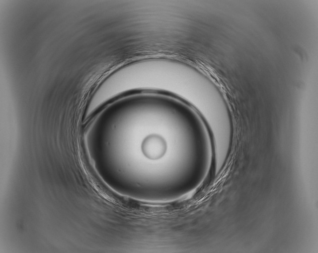 X0000112770097200908201516