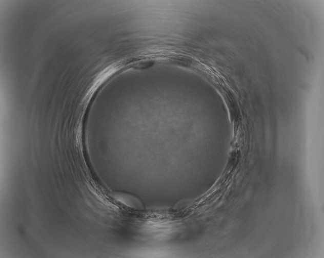 X0000112770099200908201516