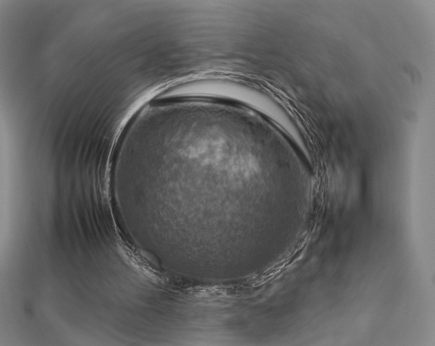 X0000112770100200908201516