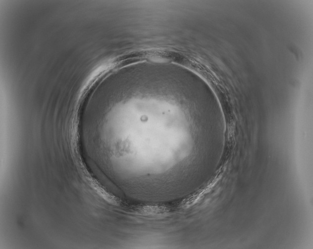 X0000112770101200908201516