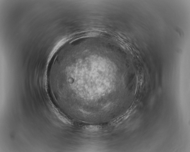 X0000112770102200908201516