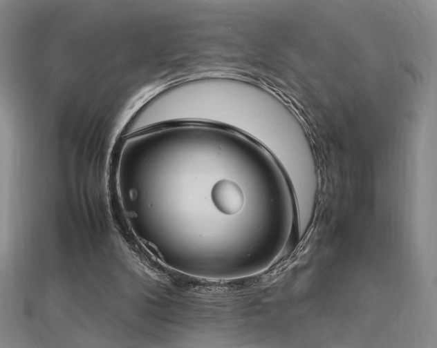 X0000112770104200908201516
