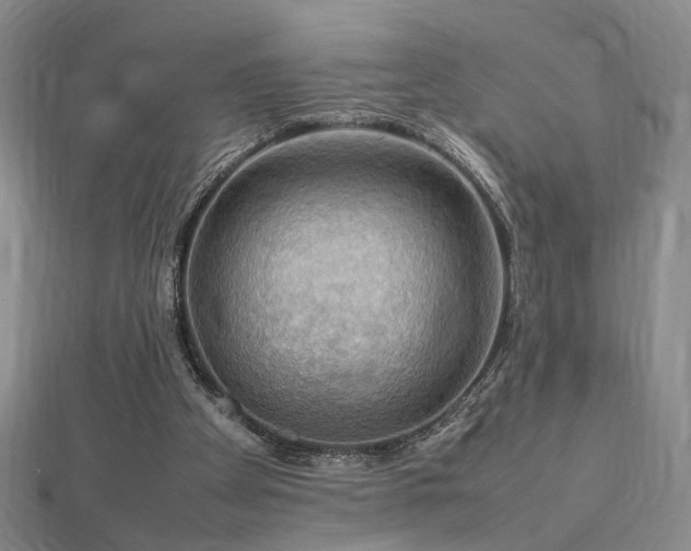 X0000112770105200908201516