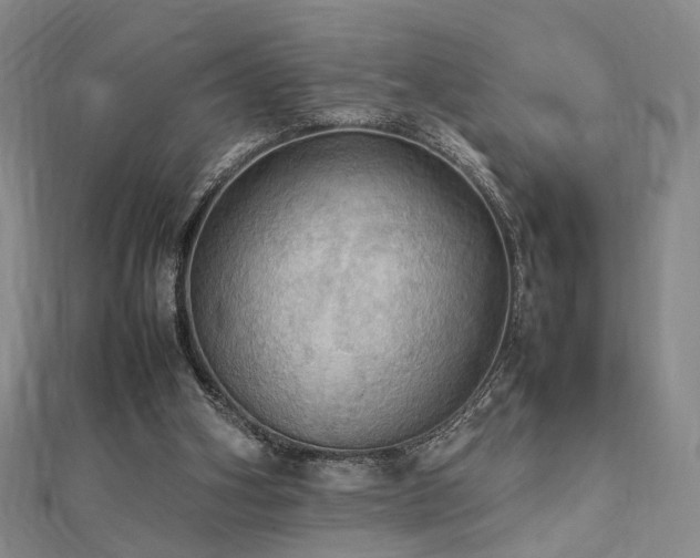 X0000112770106200908201516
