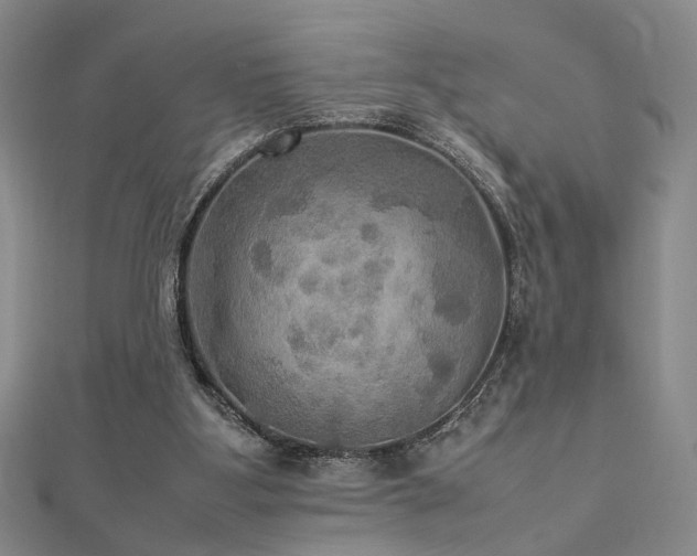 X0000112770107200908201516