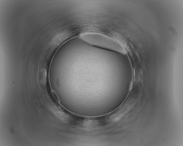X0000112770109200908201516