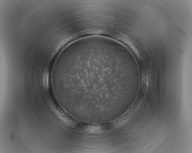 X0000112770110200908201516