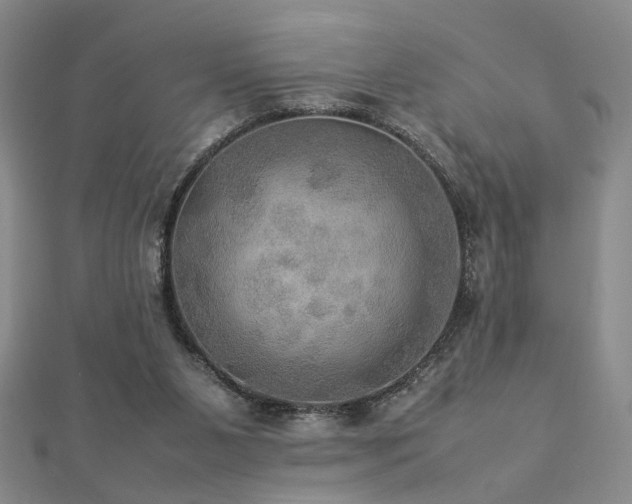 X0000112770111200908201516