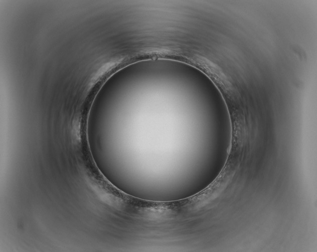 X0000112770112200908201516